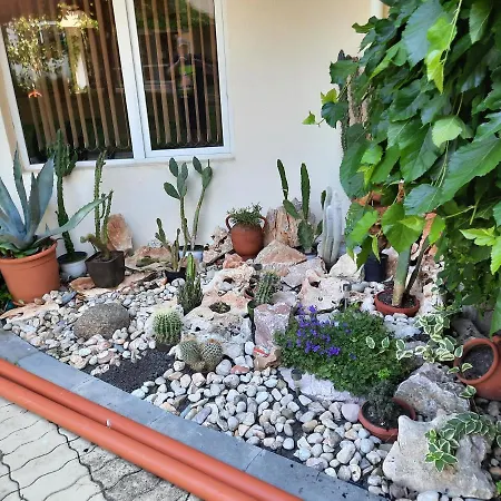 Beutiful Ground Floor Apartment Close To Beach דירה סאני ביץ'